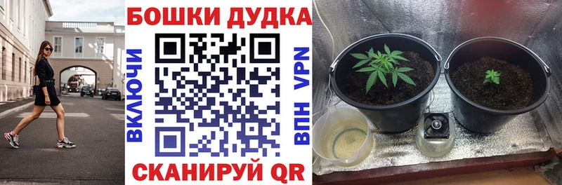 Купить A-PVP  Псилоцибиновые грибы  Меф  Канабис  Cocaine  Купино