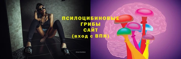первитин Богданович