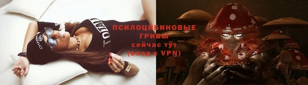 первитин Богданович