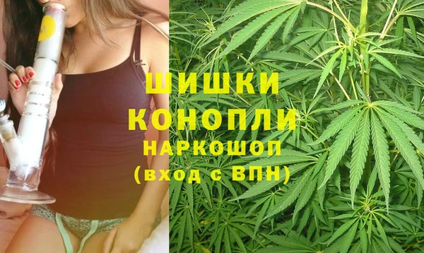 первитин Богданович