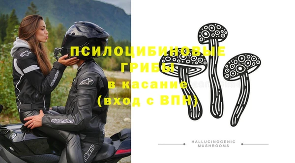 дмт Богородск