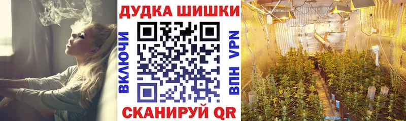 Купить где  Купино  Бошки марихуана сатива 